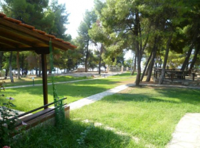 BEACHFRONT VILLA BETWEEN NIKITI AND METAMORPHOSIS